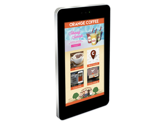 Wall-Mounted PCAP Outdoor Touch Screens